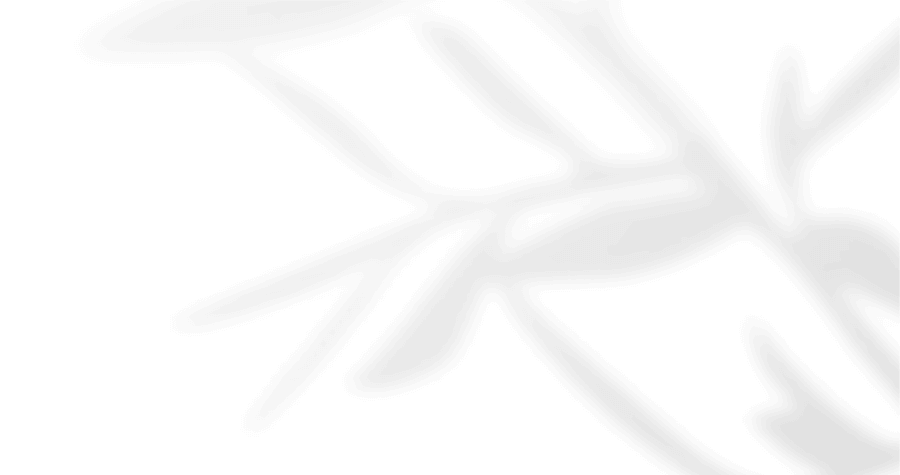 https://www.federicaeadrian.it/wp-content/uploads/2020/12/floating_image_05.png